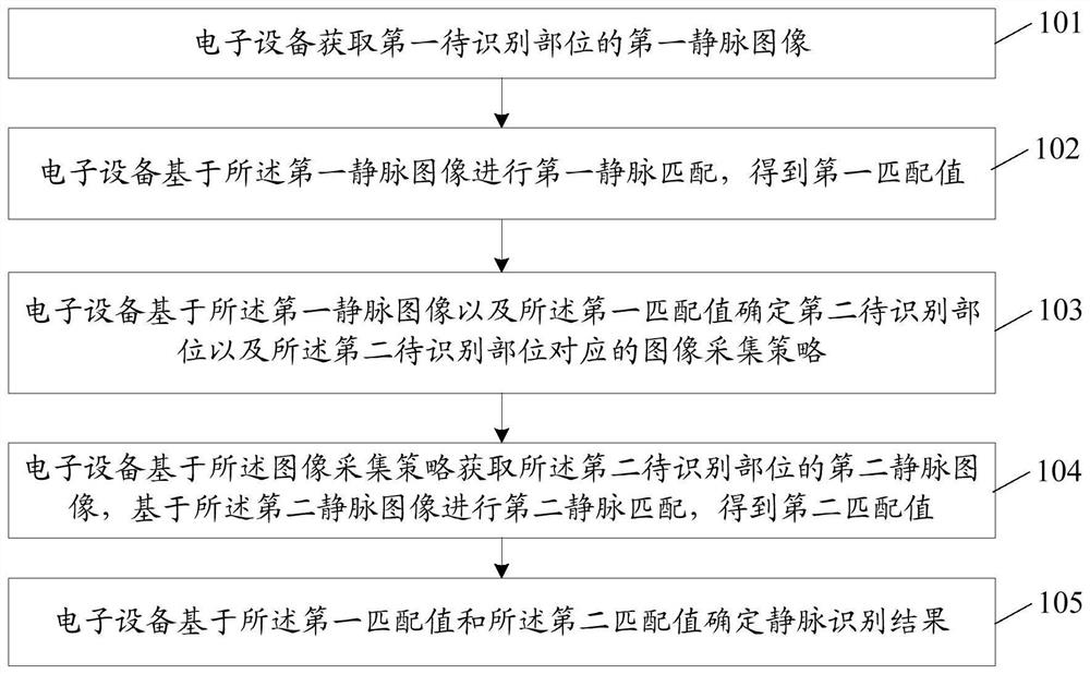 Vein identification method and related products