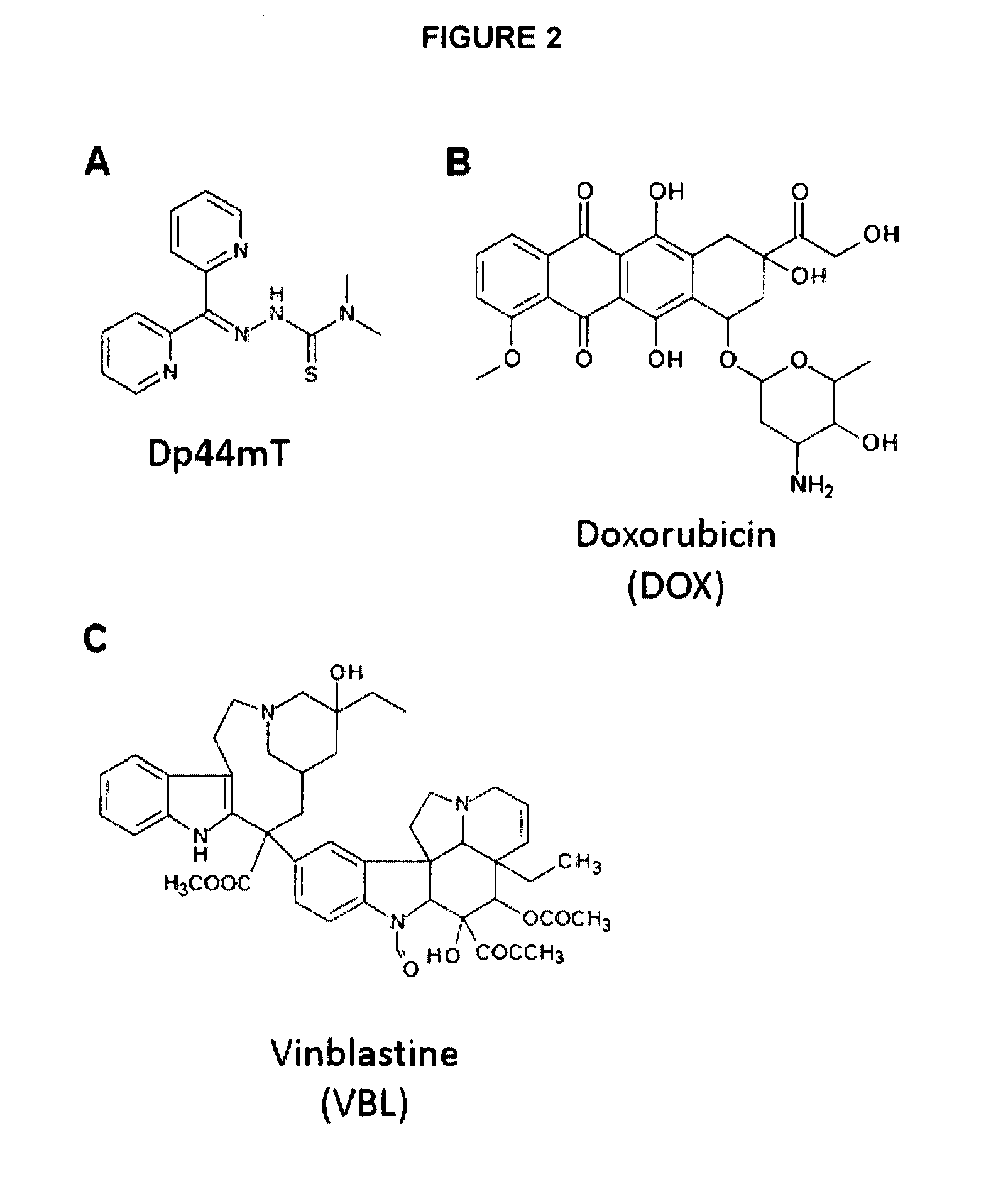 Chemotherapy for Drug-Resistant Cancer Cells