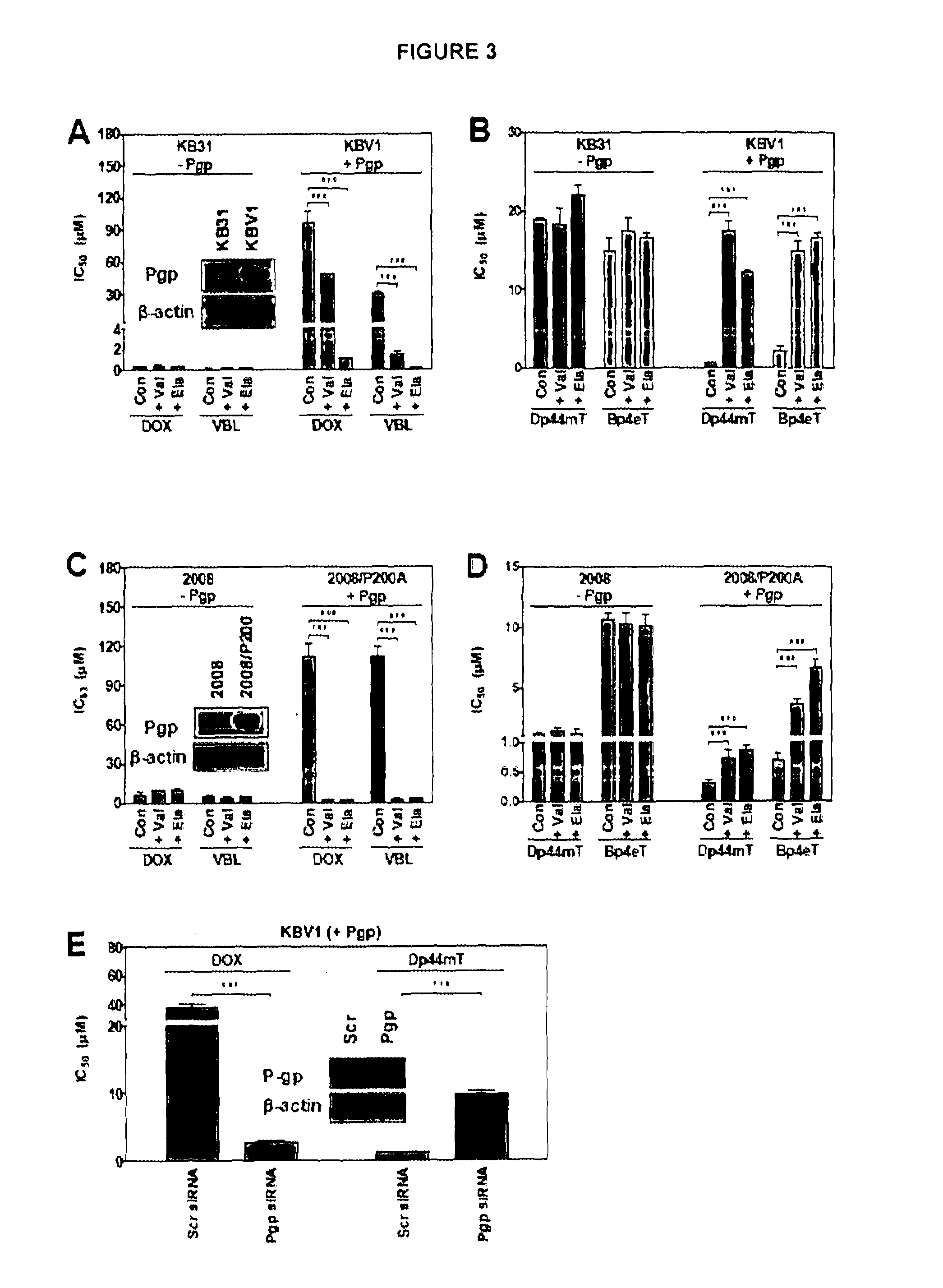 Chemotherapy for Drug-Resistant Cancer Cells