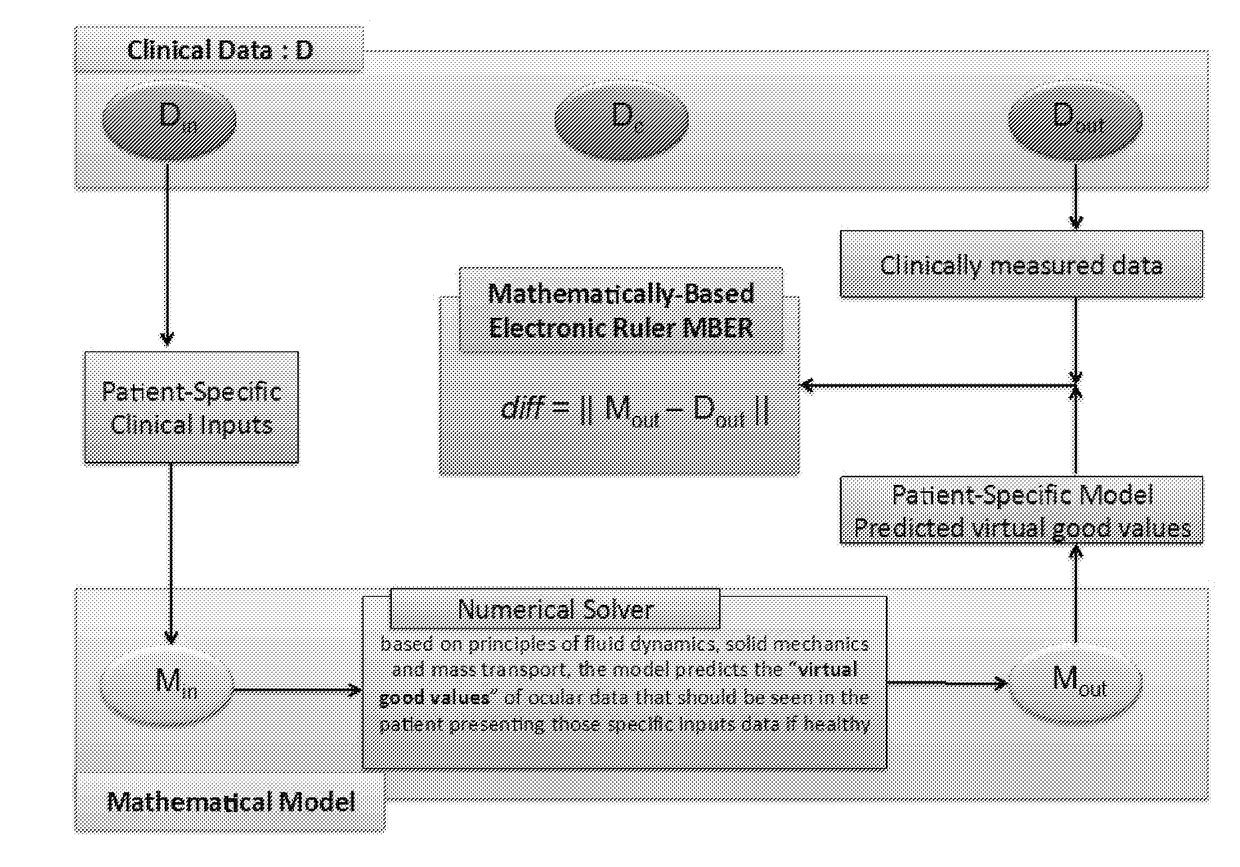 Methods and systems for patient specific identification and assessmentof ocular disease risk factors and treatment efficacy