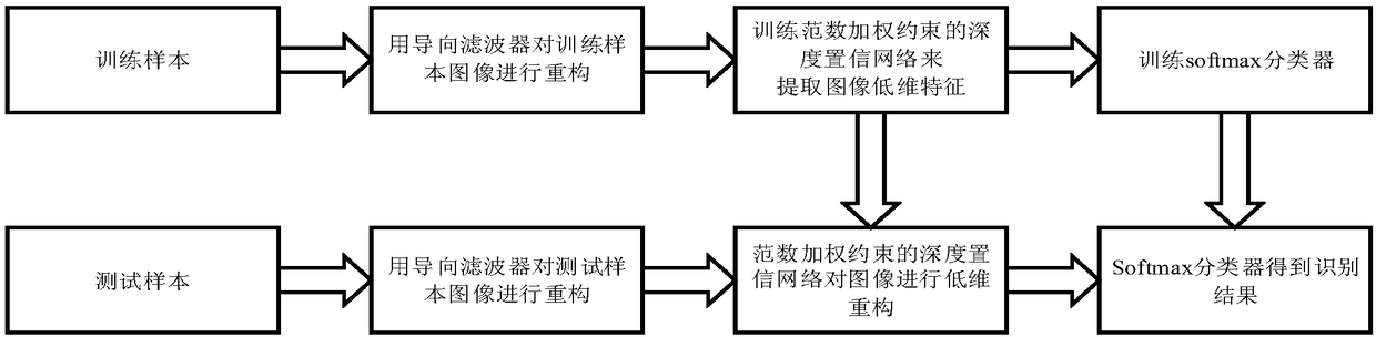 SAR target recognizing algorithm based on guide reconstitution and norm constraint DBN