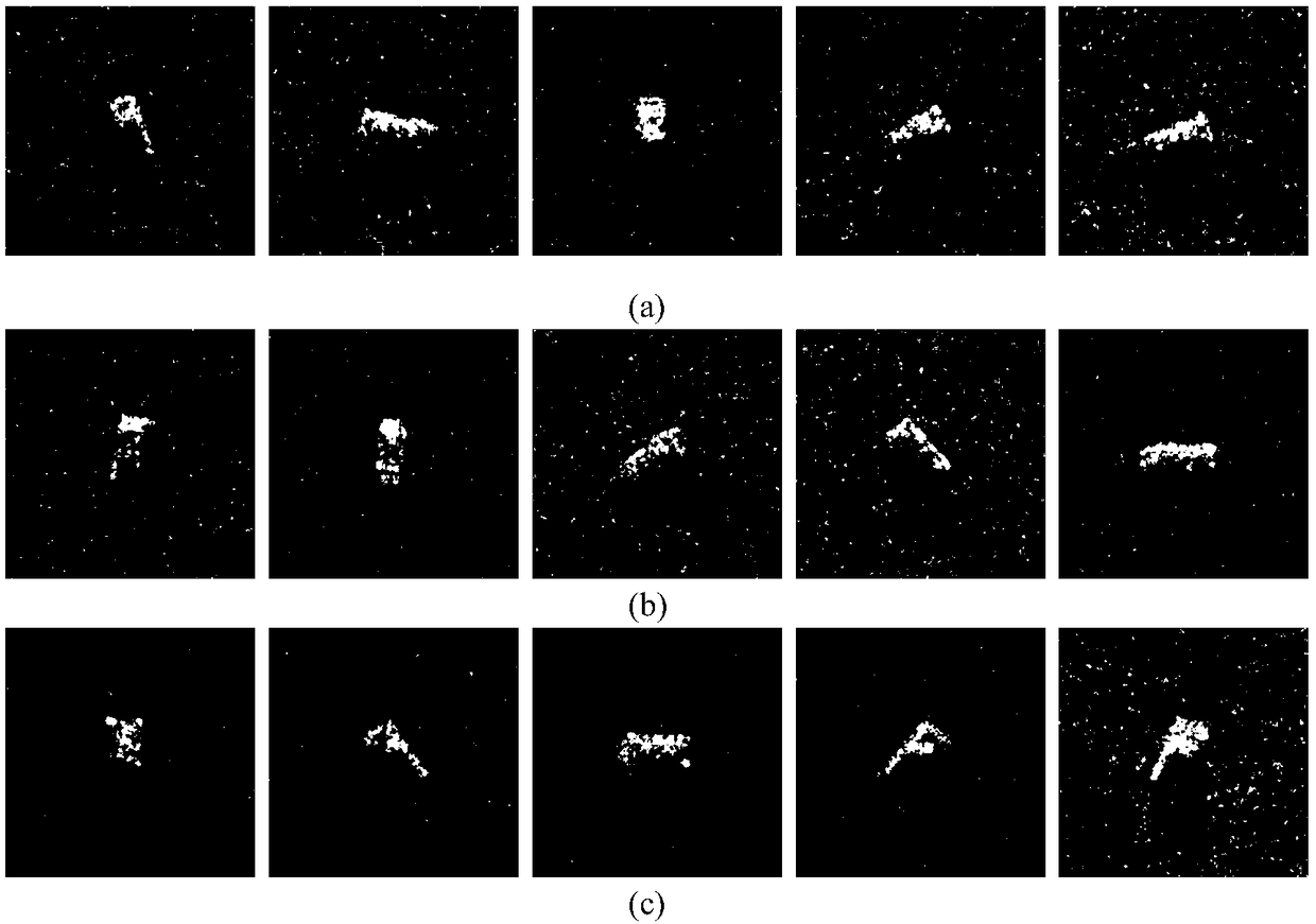 SAR target recognizing algorithm based on guide reconstitution and norm constraint DBN