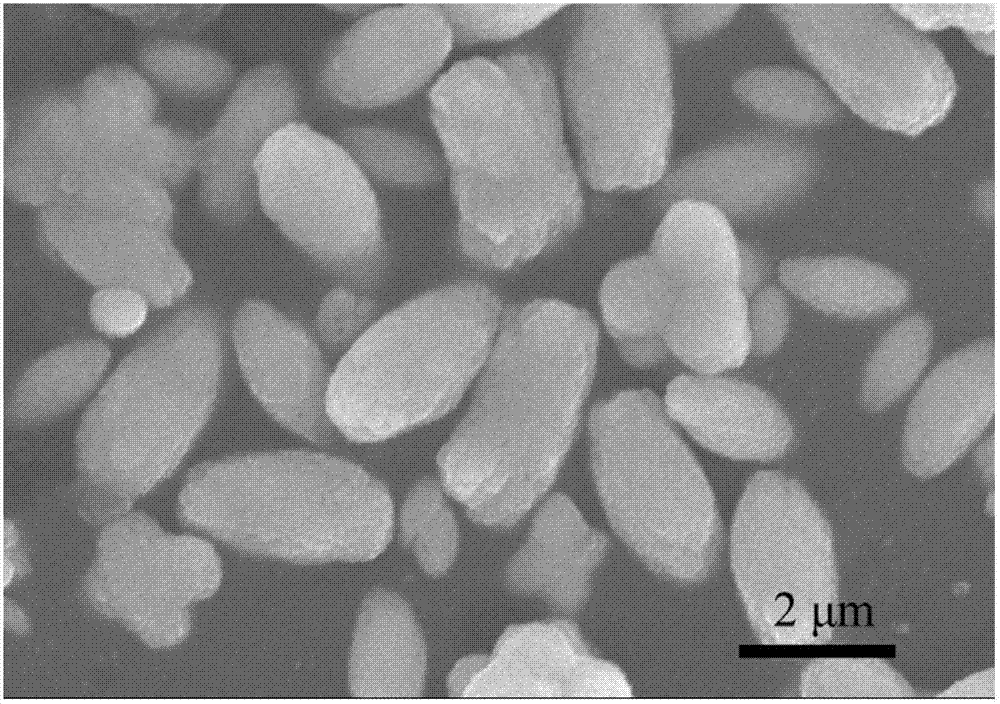 Method for preparing calcium lanthanum molybdate europium-doped luminous olive sphere