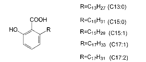 Industrialization production technology for extracting ginkgolic acid from Ginkgo testa