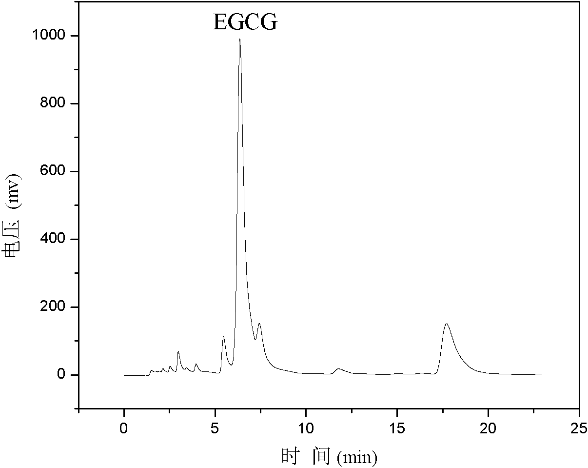 Method for purifying epigallo catechin gallate (EGCG)