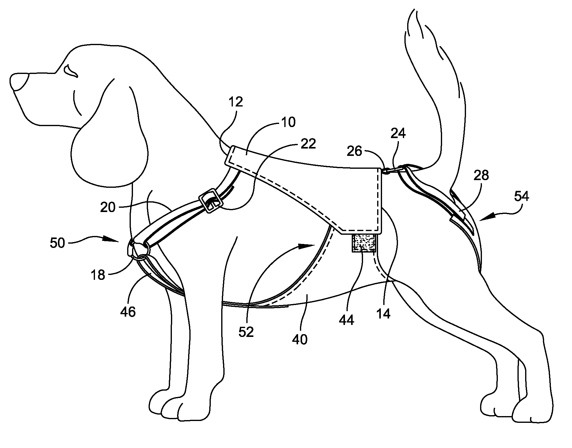 Animal garment