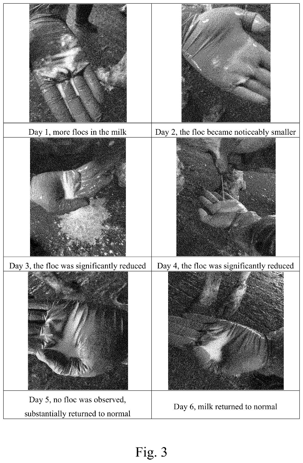 Uses of pulsatilla chinensis extract in preparing drug for treating viral and/or bacterial diseases