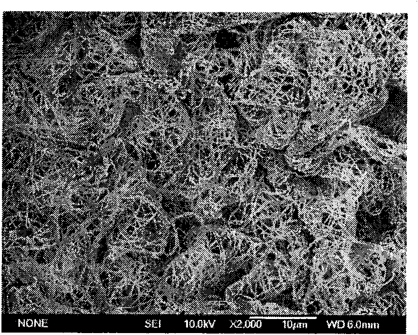 Bi2WO6 nano-fiber cloth and preparation method and application thereof