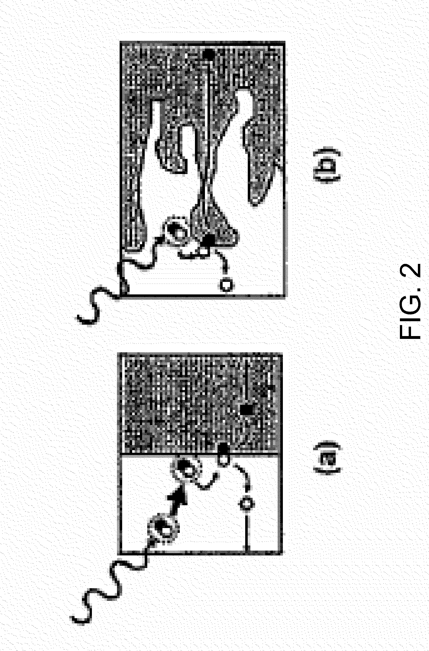 Growth of ordered crystalline organic films