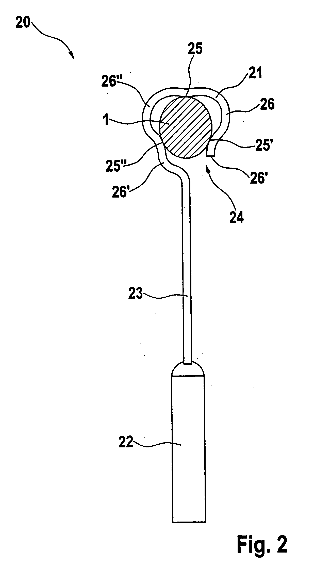 Auditory ossicle prosthesis