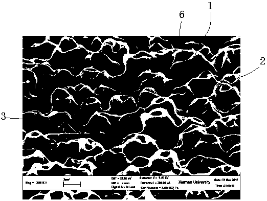 A kind of micro-arc oxidation film layer of medical titanium implant and its preparation method