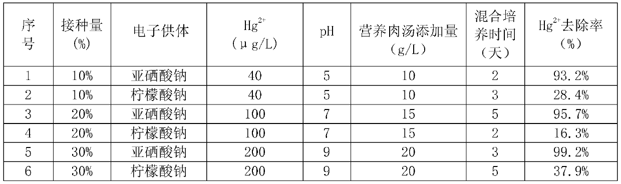 Method for treating mercury in water with escherichia coli