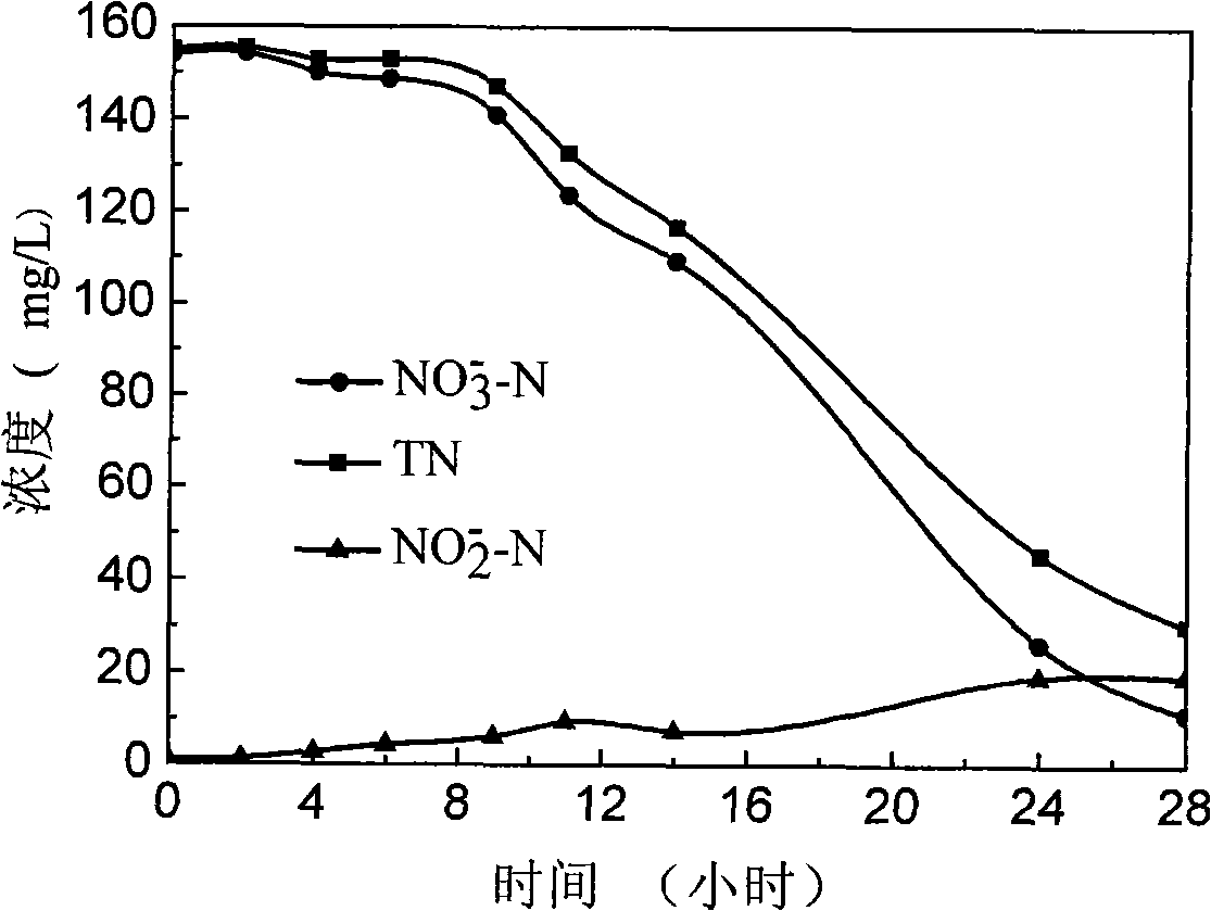 Achromobacter xylosoxidans strain for biological denitrificaion and application thereof