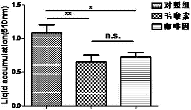 Application of dibutyacyladenosine cyclophosphate salts in preparation of fat-reducing diet drugs for external use