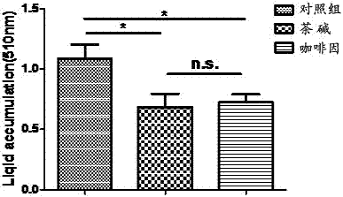 Application of dibutyacyladenosine cyclophosphate salts in preparation of fat-reducing diet drugs for external use