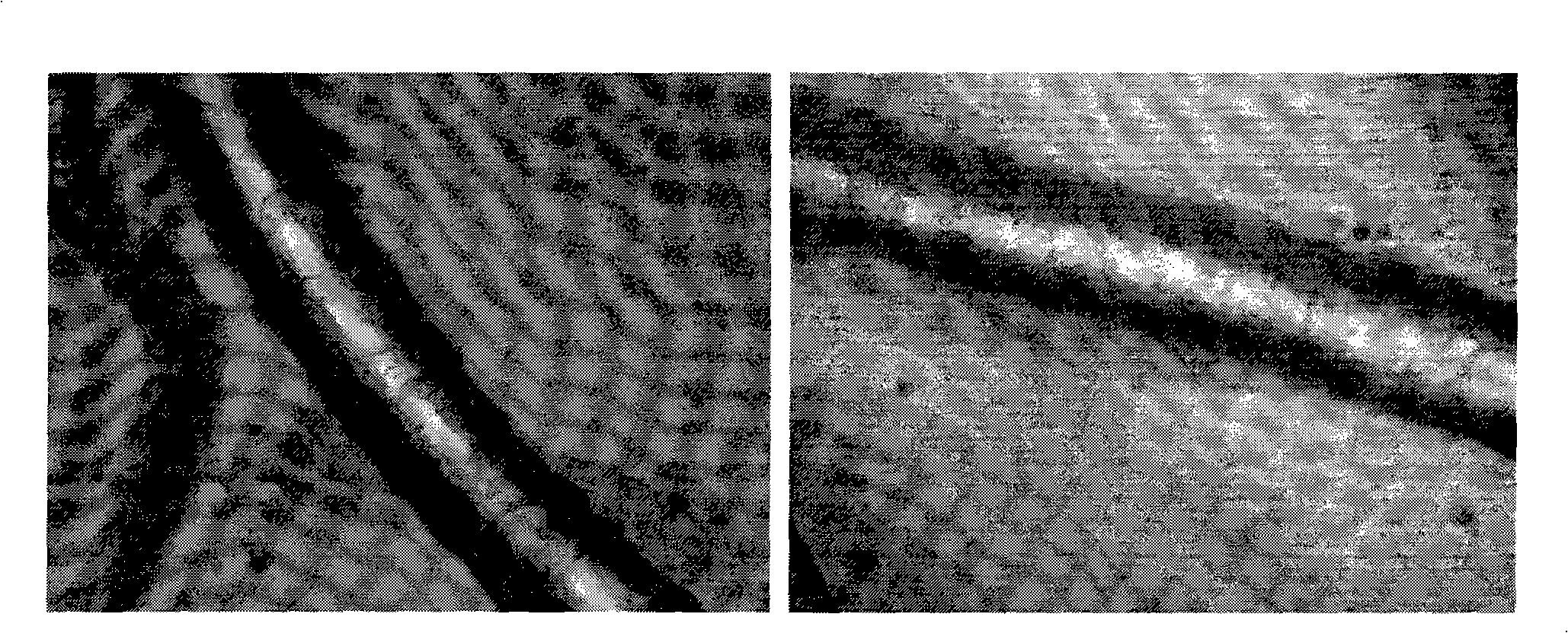 Inducement and preparation of S. keratinase and method for sorting wool by using the same