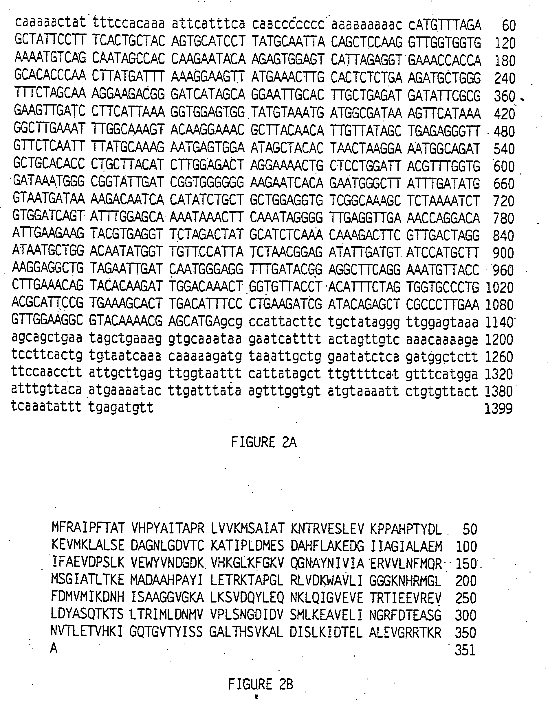 Tobacco products with increased nicotine