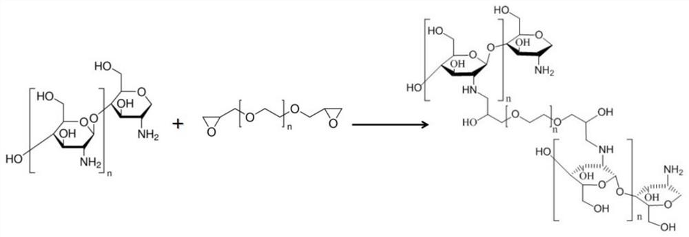 A kind of hydrophilic chitosan monolithic material and its preparation and application