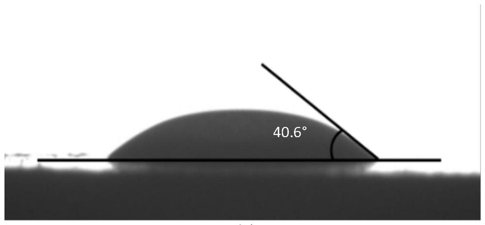 A kind of hydrophilic chitosan monolithic material and its preparation and application