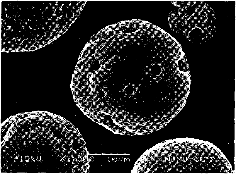 Pharmaceutical composition containing micronized human vascular endostatin