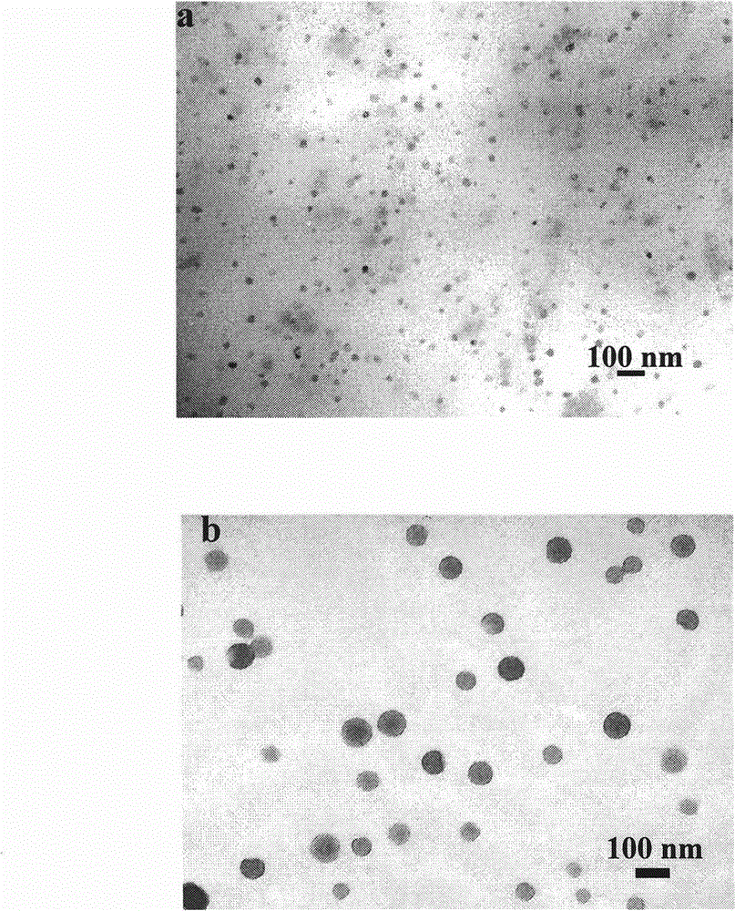 Fluorescent nanoparticle and preparation method and application thereof