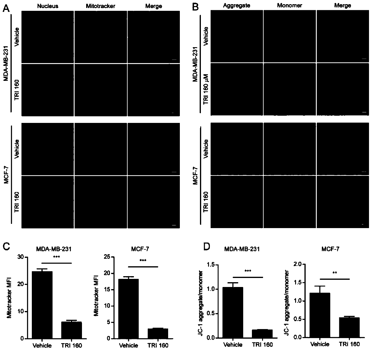 Application of triclabendazole in preparation of drugs for treating breast cancer