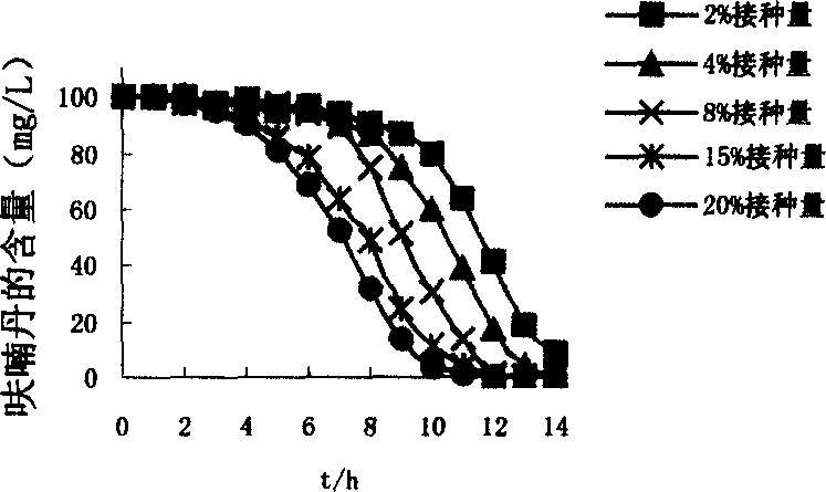 Carbofuran pesticide residual degraded bacteria and its produced bacterial agent