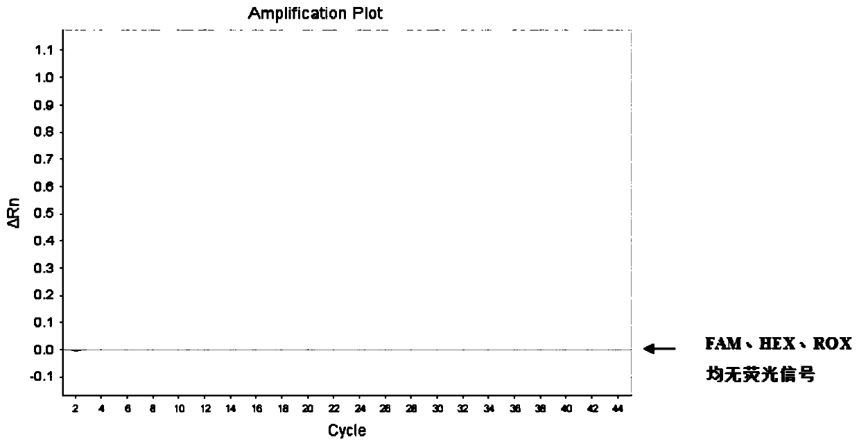 Kit and method for detecting NTRK gene fusion