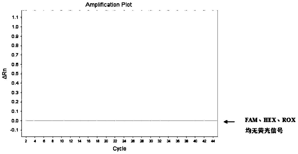 Kit and method for detecting NTRK gene fusion