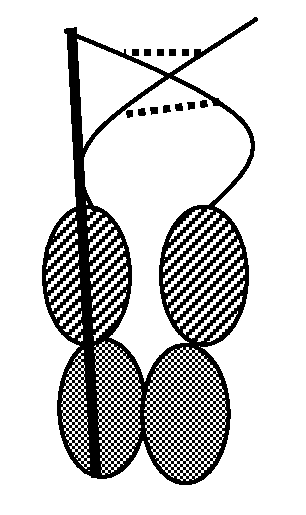 Single chain fc, methods of making and methods of treatment