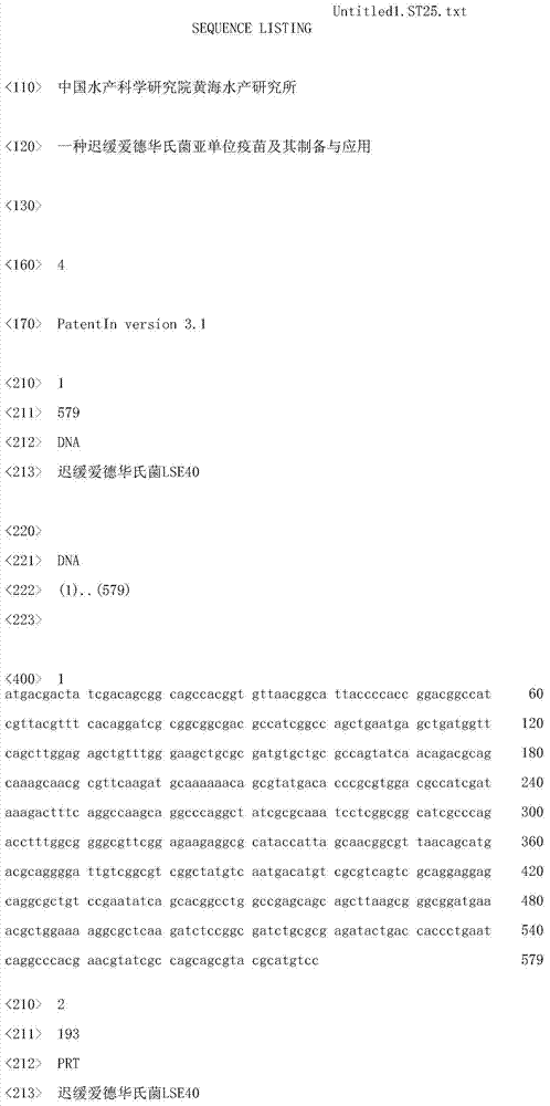 Edwardsiella tarda subunit vaccine, and preparation and application thereof