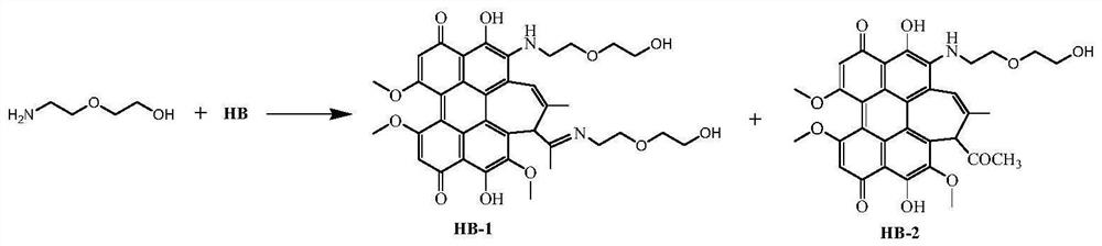 Lipid-water amphiphilic hypocrellin derivative, preparation method and application thereof