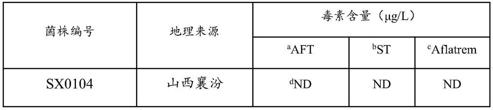 Non-toxin-producing aspergillus flavus SX0104 and application thereof