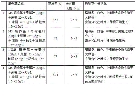 The Method of Rapid Tissue Culture Propagation of Emei Anologia Emei Seeds Without Hormone