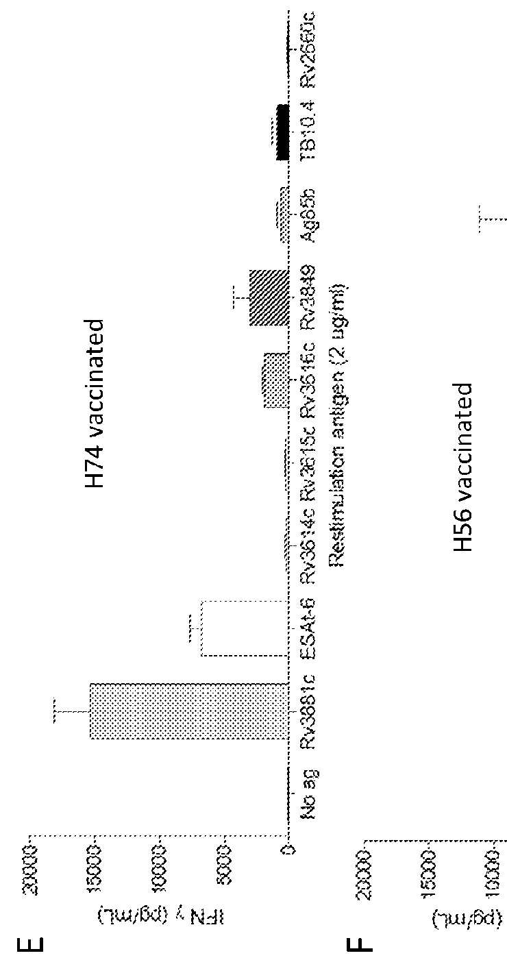 M.tuberculosis vaccines