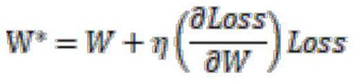 Tokamak plasma large fracture prediction algorithm based on deep neural network