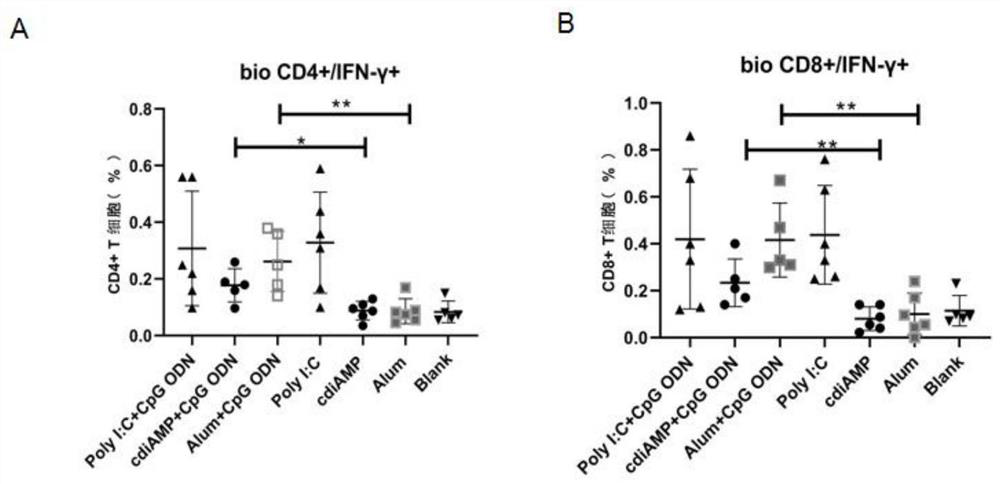 Novel nucleic acid adjuvant system for subunit vaccine and application of novel nucleic acid adjuvant system