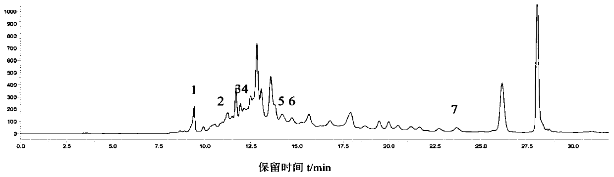 Camellia flower antibacterial hand sanitizer and preparing method thereof