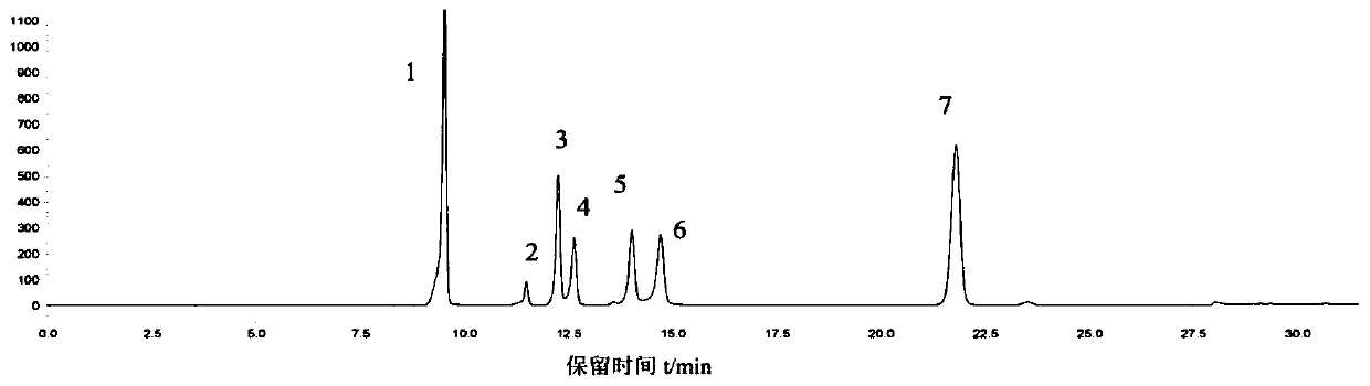 Camellia flower antibacterial hand sanitizer and preparing method thereof