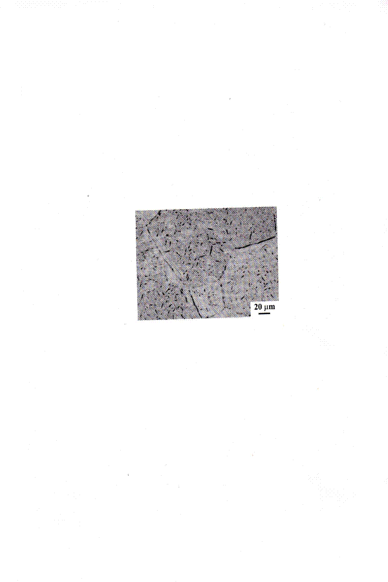 A kind of preparation method of zirconium-niobium alloy with α/β double state structure