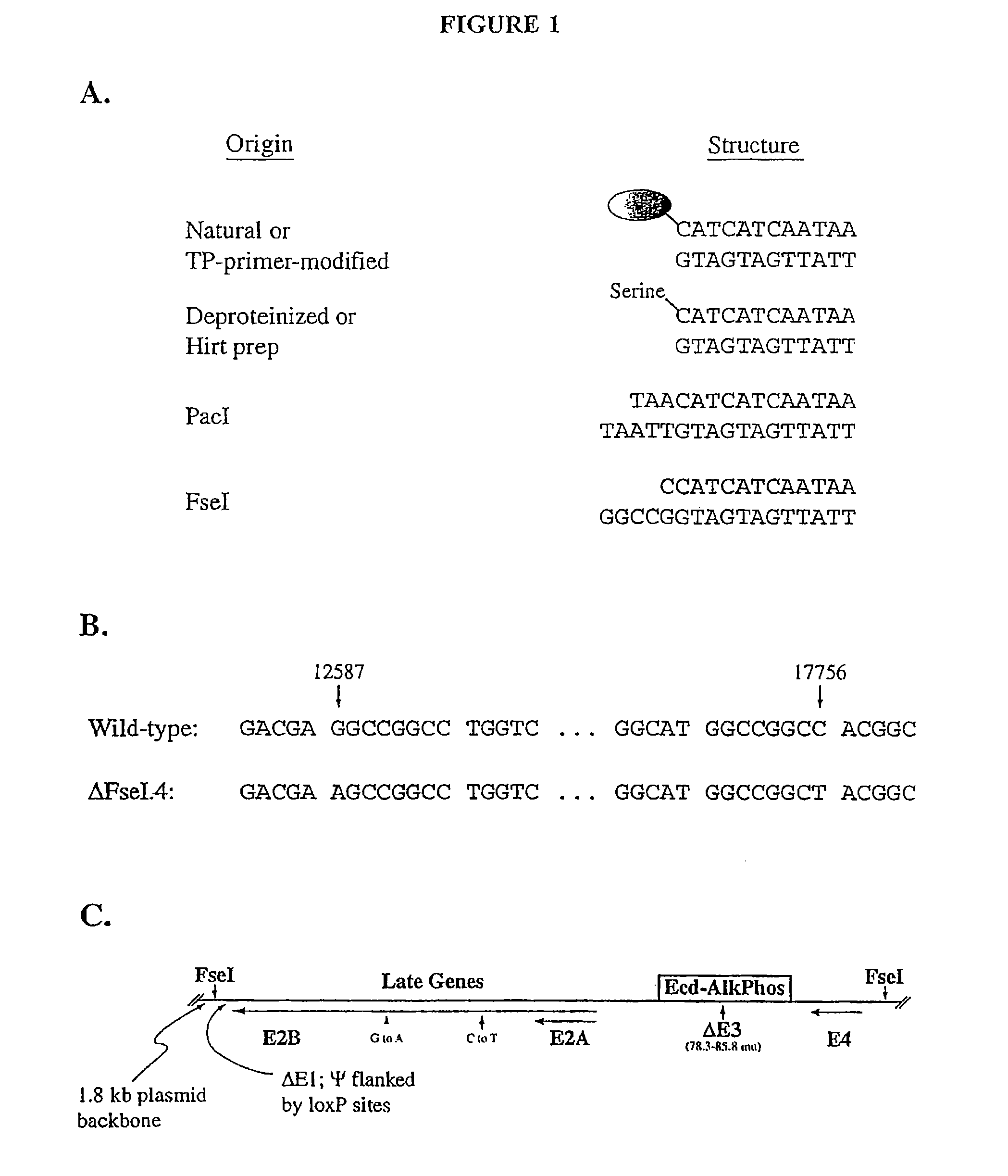 Production of viral vectors