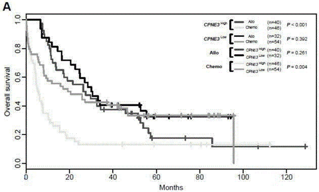 Kit for adult AML (acute myeloid leukemia) risk stratification and clinical prognosis evaluation and application of CPNE3