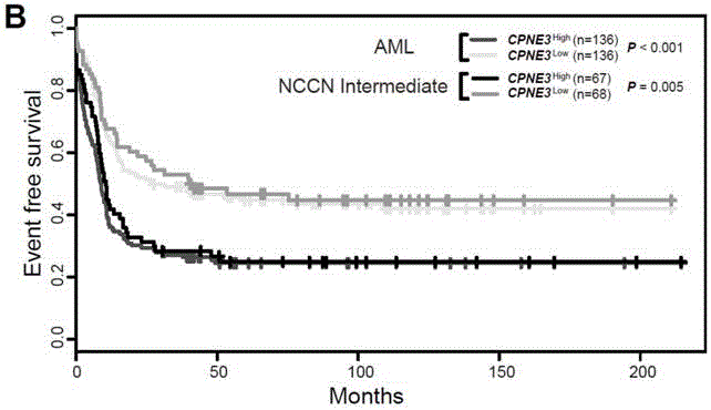 Kit for adult AML (acute myeloid leukemia) risk stratification and clinical prognosis evaluation and application of CPNE3