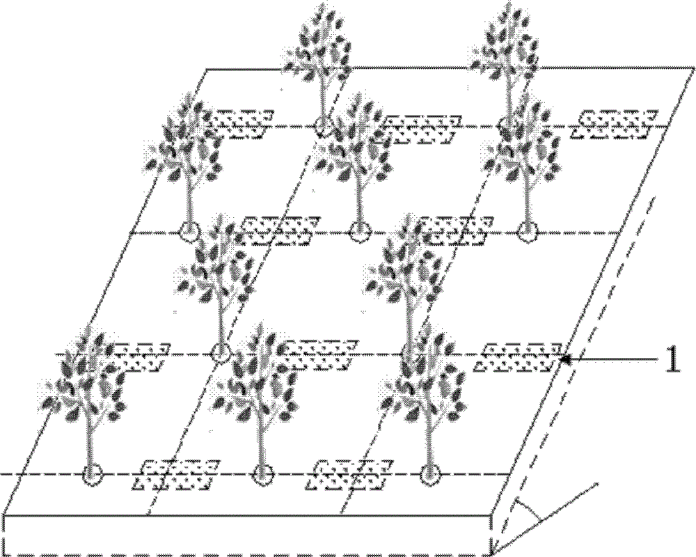 Water collection and retention method for rain harvesting and infiltration in woodlands on mountain slopes