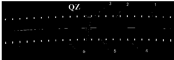 Visual illusion speed reduction marking lines for curved road section and design method of visual illusion speed reduction marking lines