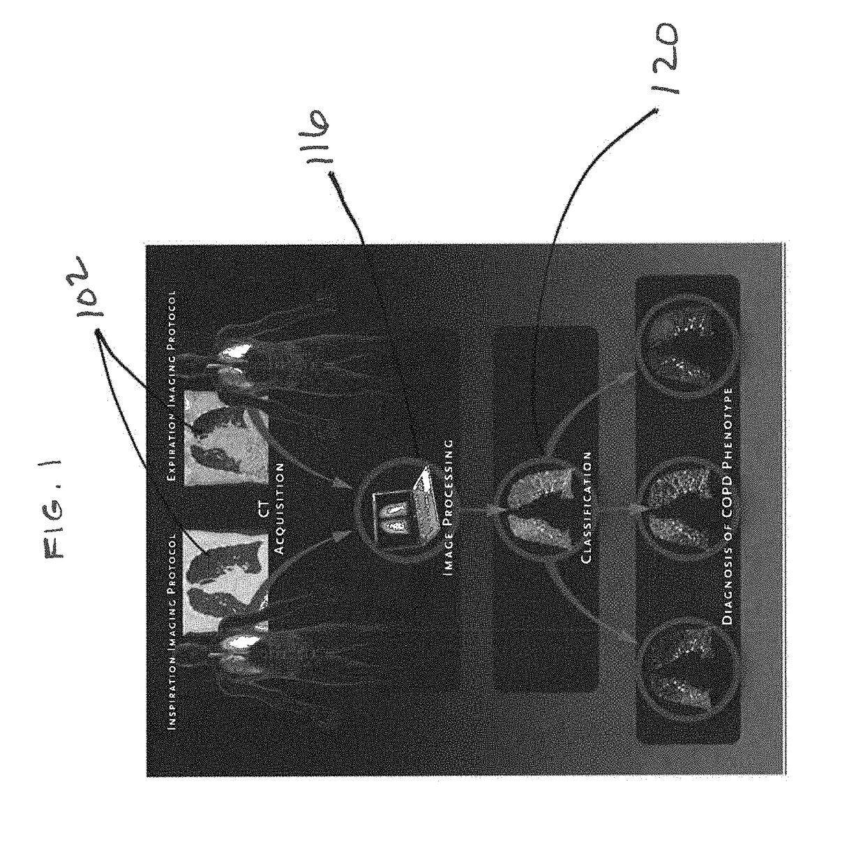 Tissue phasic classification mapping system and method