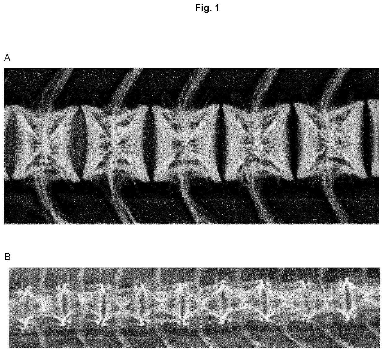 Serum free intracellular pathogen vaccine