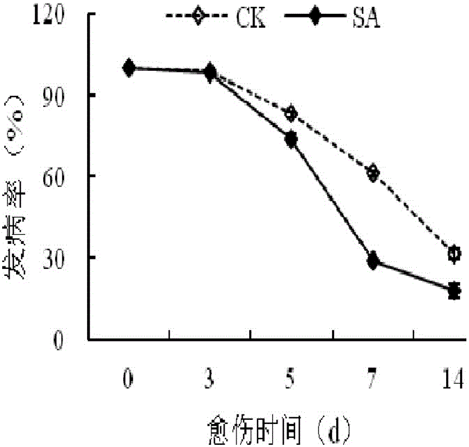 Method for promoting rapid wound healing of potato tubers with acetylsalicylic acid and application thereof