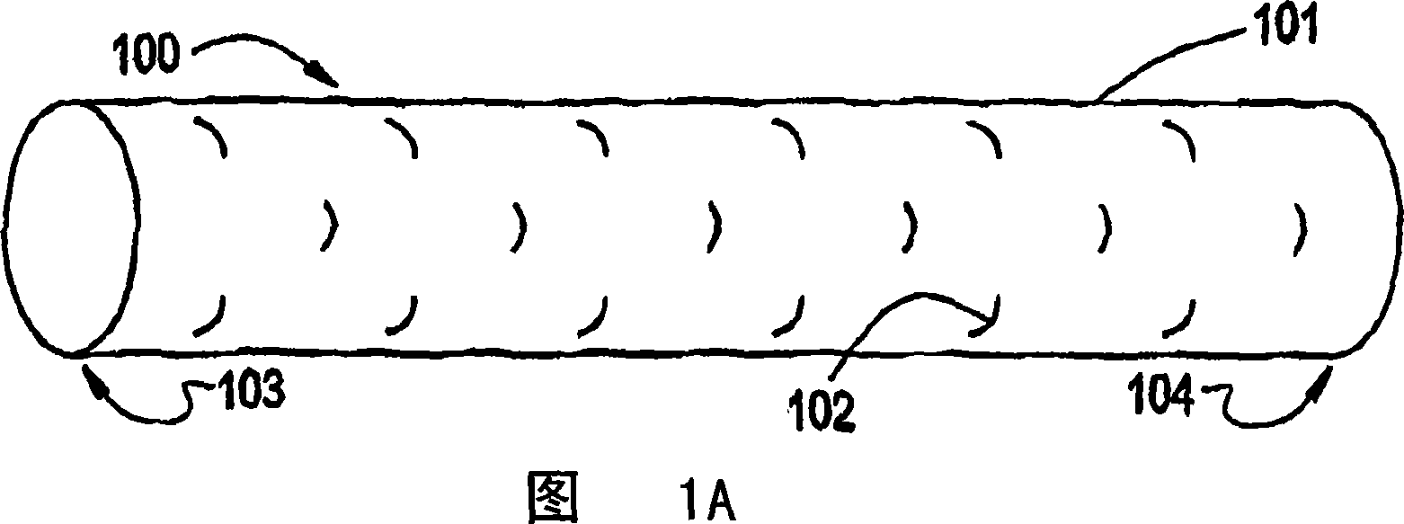 Thin film medical device and delivery system