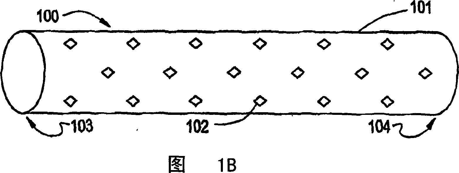 Thin film medical device and delivery system